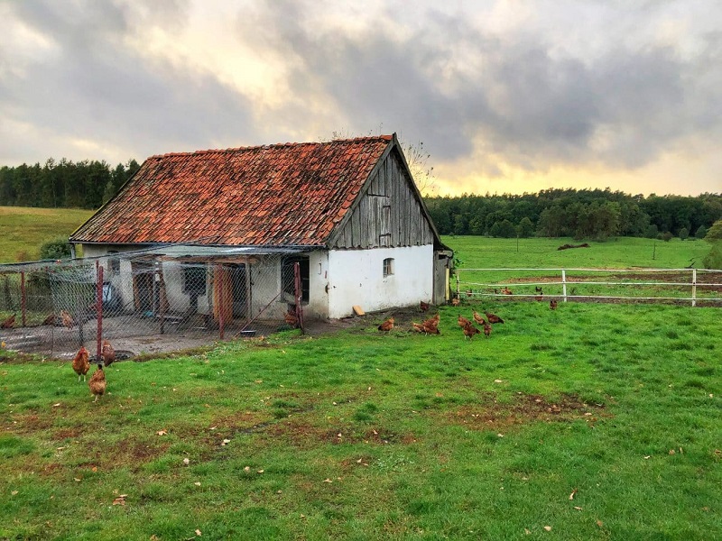 Les avantages et les inconvénients d acheter une maison ancienne Echo Web