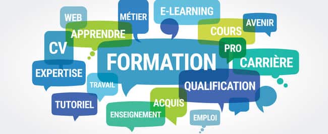 Existe Il Des Formations Pour Les Professionnels En Activité ? - Echo Web